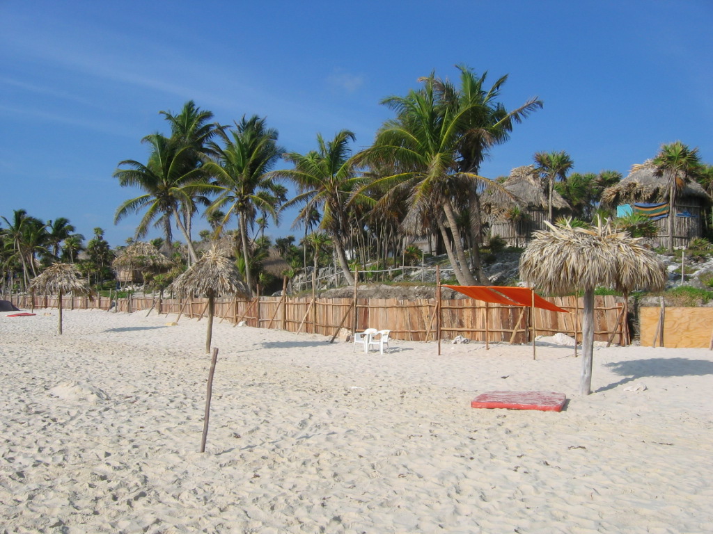 Papaya Playa_3.JPG