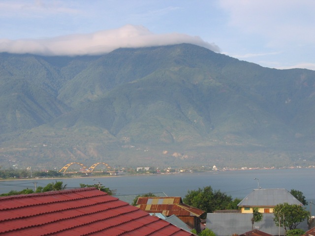 Palu_1.jpg
