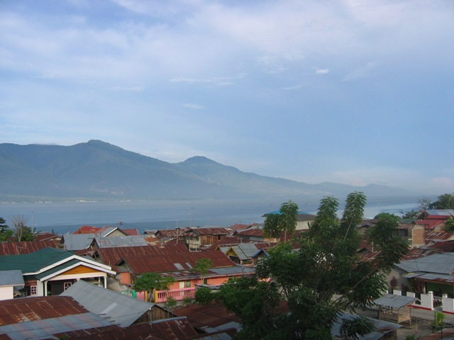 Palu_2.jpg