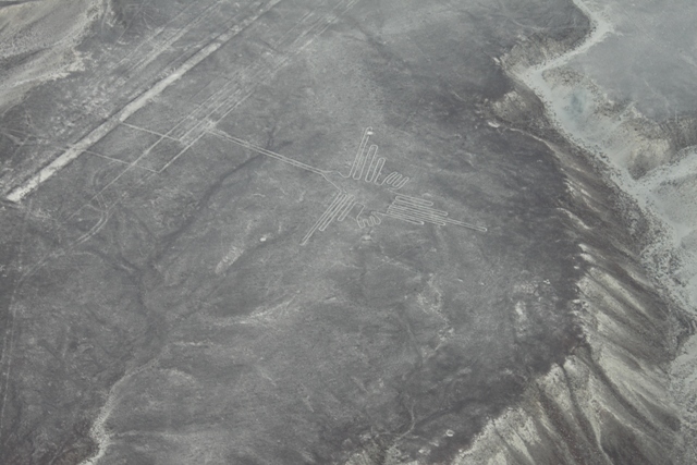 Nazca lines5