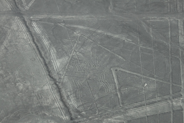 Nazca lines8