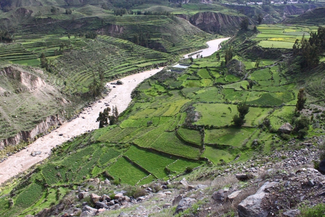 Cesta ke kaňonu Colca1