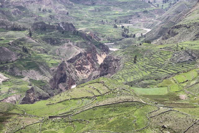 Cesta ke kaňonu Colca18