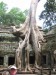 Angkor Wat_10.jpg